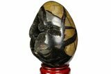 Septarian Dragon Egg Geode - Black Crystals #143157-2